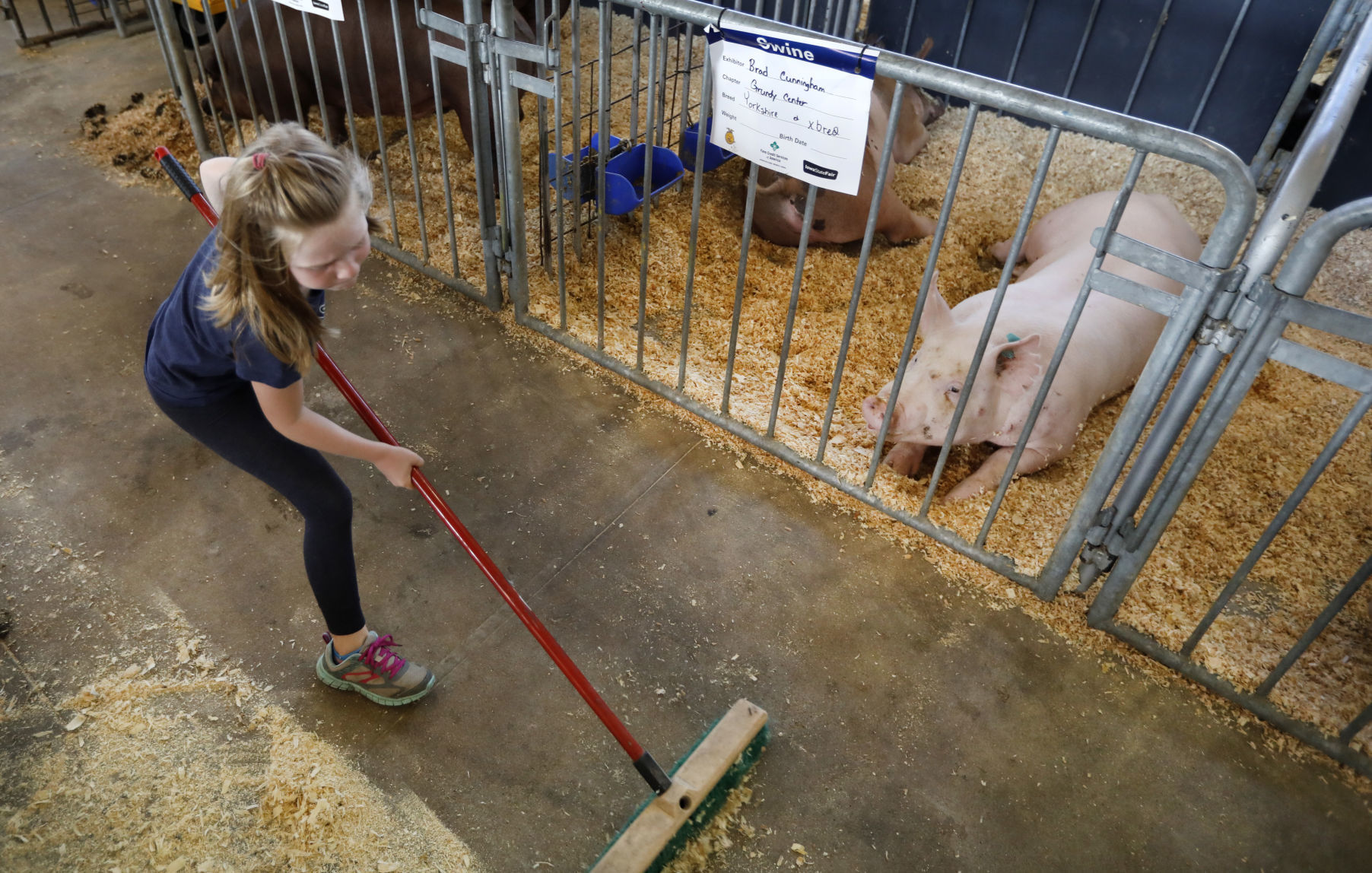 080818AP-Iowa-State-Fair-6